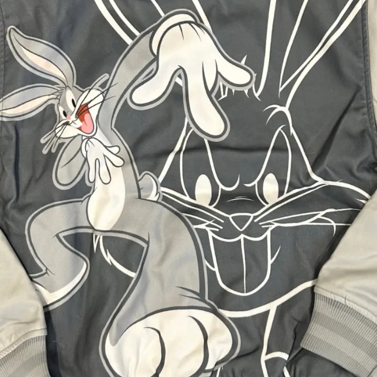 REASON-WICKED LOONEY VARSITY JACKET