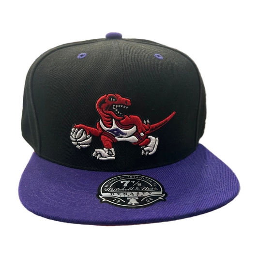 MITCHELL& NESS-Toronto Raptors Hardwood Classics 2-Tone Fitted Hat - Black/Purple