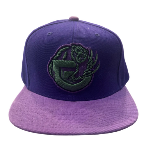 MITCHELL & NESS-Vancouver Grizzlies Purple Haze Snapback