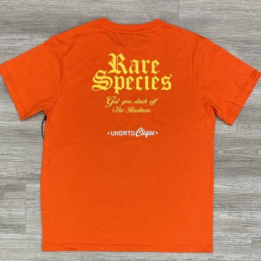 Highly Undrtd- infamous bear ss tee (orange)